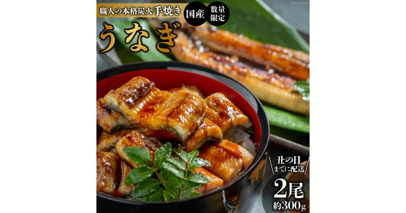 【ふるさと納税】BF046【国産・数量限定】職人の本格炭火手焼きうなぎ2尾約300g【丑の日までに配送】