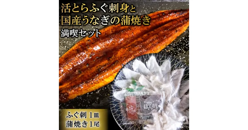 【ふるさと納税】活とらふぐ刺身と国産うなぎの蒲焼き満喫セット（ふぐ刺1皿・蒲焼き1尾）