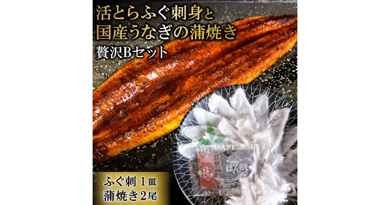 【ふるさと納税】活とらふぐ刺身と国産うなぎの蒲焼き贅沢Bセット（ふぐ刺1皿・蒲焼き2尾）