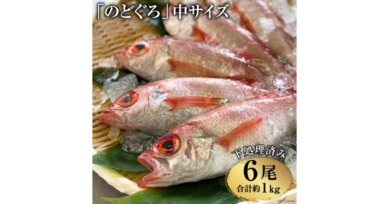 【ふるさと納税】CF091「 のどぐろ 」中サイズ（160～180g） 6尾　＜煮付け・塩焼き用＞ 【 アカムツ 下処理済み 魚介 魚 長崎県 島原市 送料無料 】