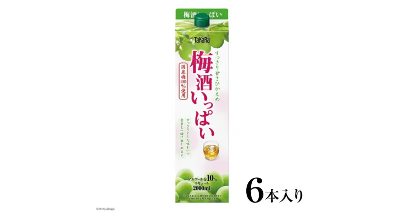 【ふるさと納税】タカラ「梅酒いっぱい」2L紙パック 6本入 【 梅酒 果実酒 焼酎 酒 タカラ Takara 宝酒造 島原市 送料無料 】