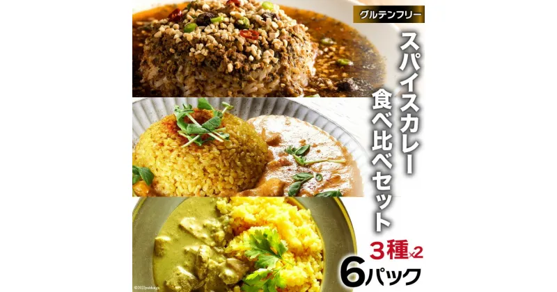 【ふるさと納税】スパイスカレー 食べ比べセット 3種類 150g×各2 計6パック