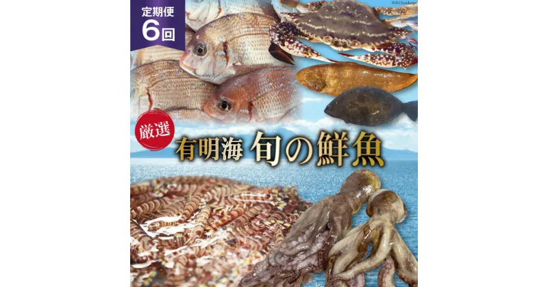 【ふるさと納税】BG065【定期便】有明海 旬の鮮魚 漁協おすすめ 海の幸定期便 計6回