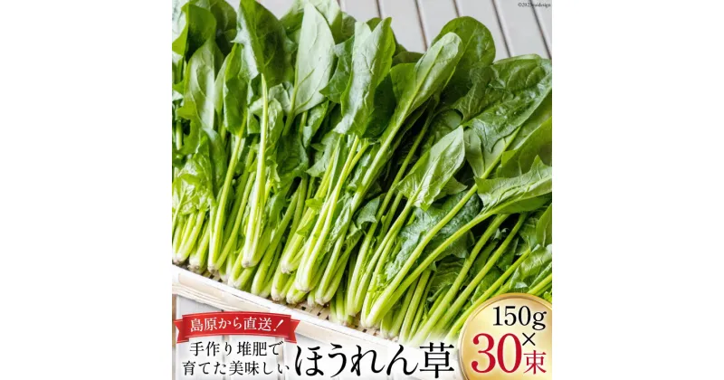 【ふるさと納税】【BH011】ほうれん草 150g×30束