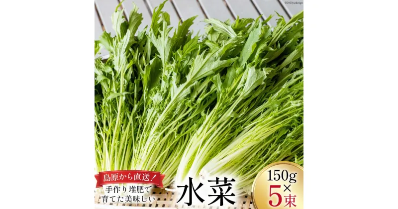 【ふるさと納税】【BH015】水菜 150g×5束