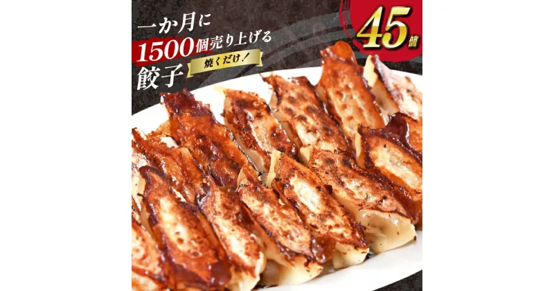 【ふるさと納税】【AH019】 焼くだけ！一か月に1500個売り上げる餃子 45個（15個×3パック）