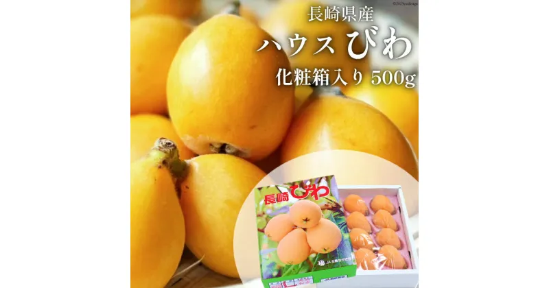 【ふるさと納税】【先行受付】長崎県産 ハウスびわ 約500g 化粧箱入り 【 フルーツ 果物 くだもの びわ ビワ 枇杷 数量限定 季節限定 初夏 冷蔵 長崎県 島原市 】