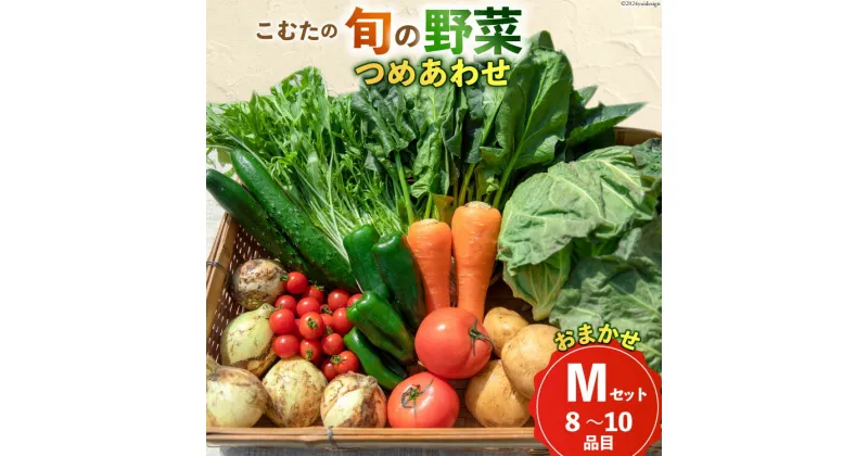 【ふるさと納税】AI022【10～5月限定出荷】こむたの旬の野菜つめあわせ(8～10品目)おまかせ M セット 【 野菜 やさい 旬 種類 人気 オススメ 新鮮 詰め合わせ こむた 小無田 青果 長崎県 島原市 】