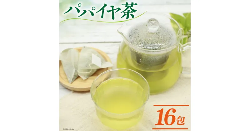 【ふるさと納税】AI132 パパイヤ茶 ティーパック 2g×16包 [ ティーバッグ 茶 お茶 健康 美容 酵素 抗酸化 コウセイプランニング 長崎県 島原市 ]