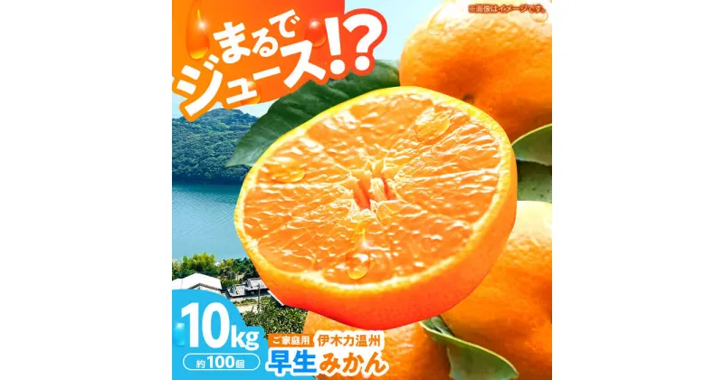 【ふるさと納税】伊木力温州早生みかん10kg(ご家庭用、箱入り) / みかん 温州みかん 柑橘 蜜柑 ミカン 果物 / 諫早市 / 末永果樹園 [AHBD002]