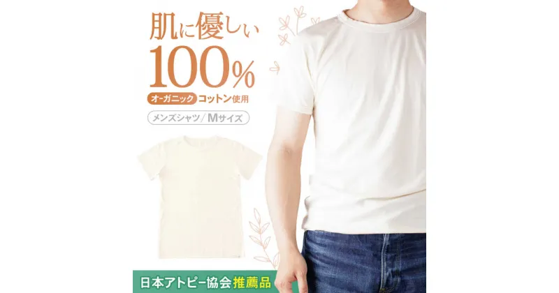 【ふるさと納税】【日本アトピー協会推薦品】オーガニックコットン半袖Tシャツ（メンズ / Mサイズ） / Tシャツ メンズ 綿 オーガニック おーがにっく オーガニックコットン 服 肌着 生成り 半袖 / 諫早市 / 株式会社美泉 [AHAP014]