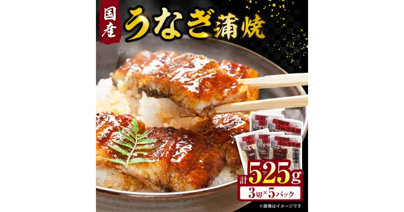 【ふるさと納税】福田屋食品うなぎ蒲焼5P(真空パック) / 特上 国産 うなぎ unagi ウナギ 鰻 蒲焼 かばやき うな重 うな丼 ひつまぶし 冷凍 小分け / 諫早市 / 諫早観光物産　コンベンション協会 [AHAB037]