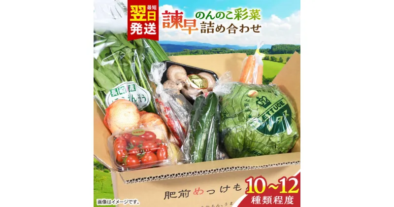 【ふるさと納税】諫早のんのこ彩菜・詰め合わせ 10〜12品 / 季節 旬 野菜 やさい 春野菜 夏野菜 秋野菜 野菜セット 詰め合わせ / 諫早市 / 肥前グローカル株式会社 [AHDI005]