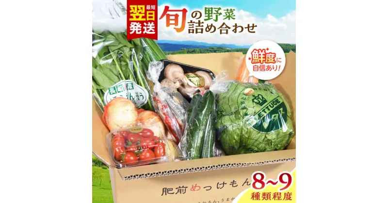 【ふるさと納税】諫早産野菜の詰め合わせ 8〜9品目程度 / 季節 旬 野菜 やさい 春野菜 夏野菜 秋野菜 野菜セット 詰め合わせ / 諫早市 / 肥前グローカル株式会社 [AHDI004]