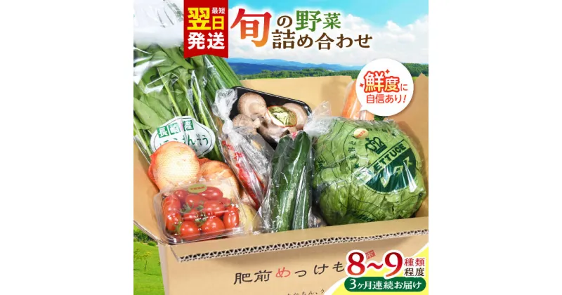 【ふるさと納税】【全3回定期便】諫早産野菜の詰め合わせ 8〜9品目程度 / 季節 旬 野菜 やさい 春野菜 夏野菜 秋野菜 野菜セット 詰め合わせ 野菜定期 野菜定期便 定期便 / 諫早市 / 肥前グローカル株式会社 [AHDI001]