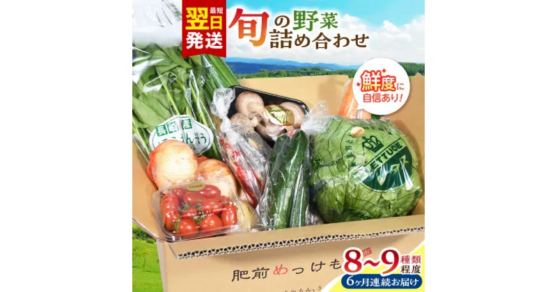 【ふるさと納税】【全6回定期便】諫早産野菜の詰め合わせ 8〜9品目程度 / 季節 旬 野菜 やさい 春野菜 夏野菜 秋野菜 野菜セット 詰め合わせ 野菜定期 野菜定期便 定期便 / 諫早市 / 肥前グローカル株式会社 [AHDI002]