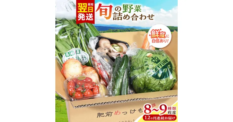 【ふるさと納税】【全12回定期便】諫早産野菜の詰め合わせ 8〜9品目程度 / 季節 旬 野菜 やさい 春野菜 夏野菜 秋野菜 野菜セット 詰め合わせ 野菜定期 野菜定期便 定期便 / 諫早市 / 肥前グローカル株式会社 [AHDI003]