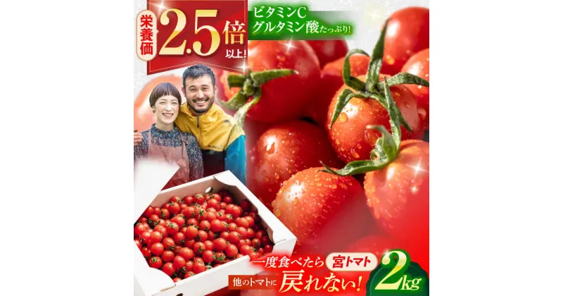 【ふるさと納税】プチッと弾ける果汁「宮トマト」2kg / トマト とまと ミニトマト プチトマト 野菜 やさい / 諫早市 / 株式会社宮下農園 [AHCG012]