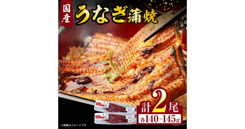 【ふるさと納税】福田屋食品うなぎ蒲焼2尾(真空パック) / 鰻 うなぎ ウナギ unagi 国産 蒲焼 かばやき うな重 うな丼 ひつまぶし / 諫早市 / 諫早観光物産　コンベンション協会 [AHAB035]