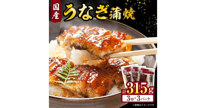 【ふるさと納税】福田屋食品うなぎ蒲焼3P(真空パック) / 鰻 うなぎ ウナギ unagi 国産 蒲焼 かばやき うな重 うな丼 ひつまぶし 小分け / 諫早市 / 諫早観光物産　コンベンション協会 [AHAB033]