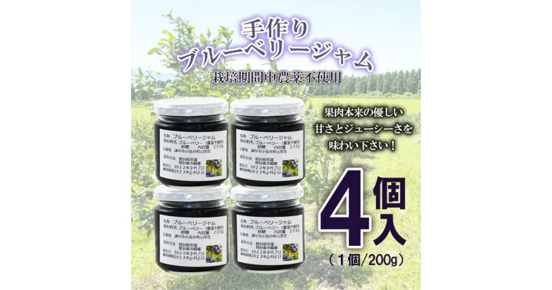 【ふるさと納税】果肉ごろごろ手作りブルーベリージャム 200g×4個 / ジャム ブルーベリージャム ブルーベリー ベリー / 諫早市 / 横林ブルーベリー園 [AHCS001]