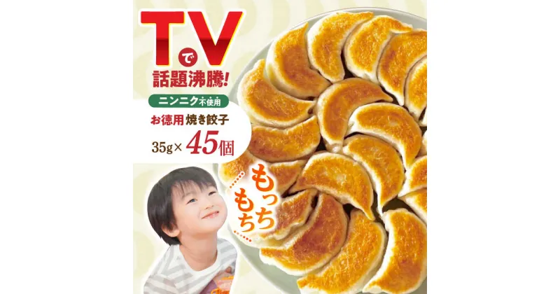 【ふるさと納税】＜TVで紹介＞大容量 焼き餃子 45個 / ギョウザ ぎょうざ 餃子 焼餃子 冷凍 / 諫早市 / 餃子のかわしも [AHBM003]