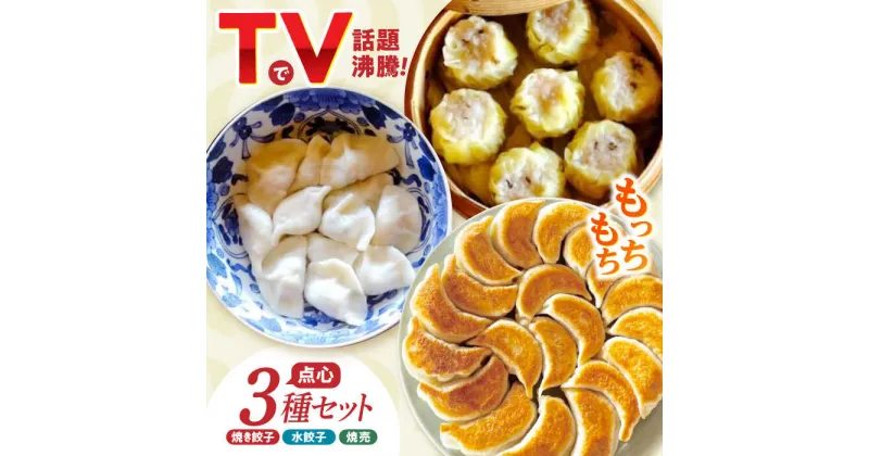 【ふるさと納税】＜TVで紹介＞大容量 手作り点心3種セット 計34個（焼き餃子・水餃子・焼売）/ ギョウザ ぎょうざ 餃子 焼餃子 水餃子 シュウマイ しゅうまい 焼売 食べ比べ 冷凍 / 諫早市 / 餃子のかわしも [AHBM001]