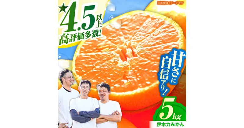 【ふるさと納税】伊木力みかん（家庭用） 5kg / みかん ミカン 蜜柑 mikan 柑橘 かんきつ フルーツ ふるーつ 果物 くだもの / 諫早市 / 山野果樹園 [AHCF002]