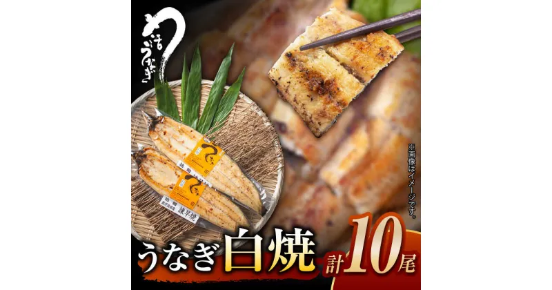 【ふるさと納税】【最速発送】＜諫早淡水＞うなぎ白焼き10尾 / うなぎ ウナギ 鰻 unagi 白焼き 白焼 しらやき 国産 冷凍 小分け / 諫早市 / 活うなぎ問屋 諫早淡水 [AHAT010] スピード 最短 最速 発送