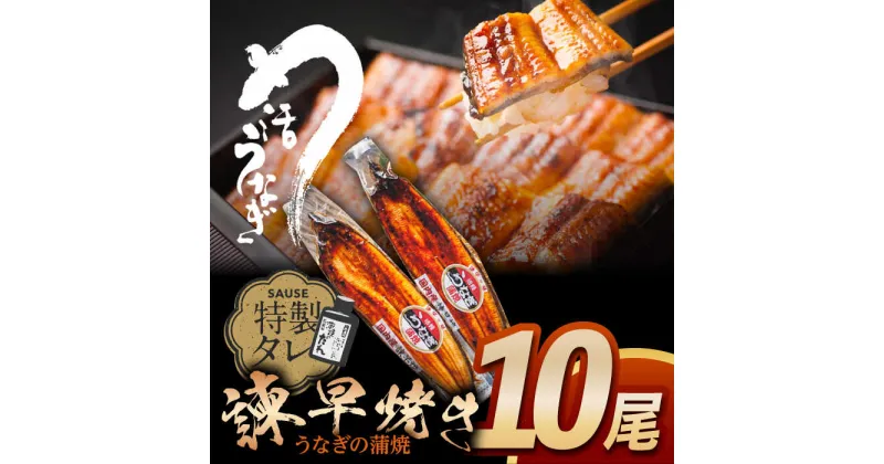 【ふるさと納税】【最速発送】＜諫早淡水＞うなぎ蒲焼10尾 / うなぎ ウナギ unagi 鰻 蒲焼き 蒲焼 かばやき 国産 冷凍 小分け うな重 うな丼 ひつまぶし / 諫早市 / 活うなぎ問屋 諫早淡水 [AHAT003] スピード 最短 最速 発送