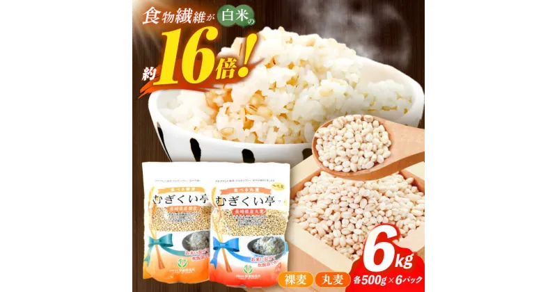 【ふるさと納税】【最速発送】むぎくい亭(丸麦500g×6・裸麦500g×6) 計6kg / 麦 丸麦 はだか麦 麦味噌 麦ごはん 麦みそ 雑穀 雑穀米 食物繊維 / 諫早市 / 有限会社伊東精麦 [AHBU002] スピード 最短 最速 発送