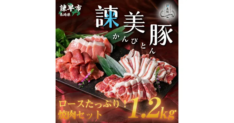 【ふるさと納税】諫美豚焼肉セット計1.2kg / 豚肉 ロース バラ モモ 焼肉 小分け / 諫早市 / 株式会社土井農場 [AHAD057]