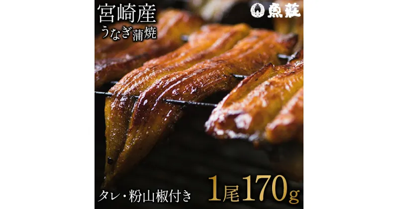 【ふるさと納税】魚荘のうなぎ蒲焼き(1尾入り) / うなぎ ウナギ 鰻 蒲焼き 蒲焼 / 諫早市 / 有限会社魚荘 [AHCK001]