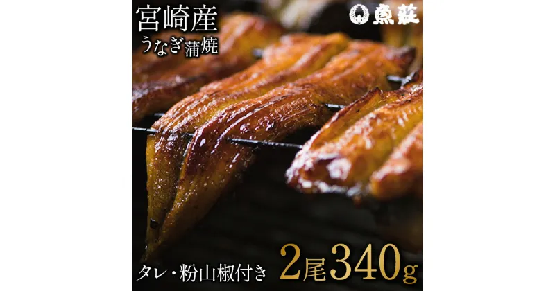 【ふるさと納税】魚荘のうなぎ蒲焼き(2尾入り) / うなぎ ウナギ 鰻 蒲焼き 蒲焼 / 諫早市 / 有限会社魚荘 [AHCK002]