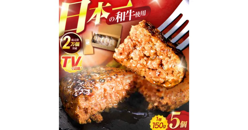 【ふるさと納税】ながさきふわとろハンバーグ　150g×5個入 / ハンバーグ はんばーぐ　肉 牛肉 豚肉 おかず　惣菜 / 諫早市 / ワールド・ミート有限会社[AHBG005]