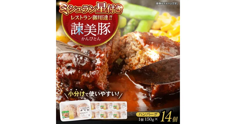 【ふるさと納税】＜特Aのブランド米で育てた＞諫美豚ハンバーグ 14個（各150g）計2.1kg / 豚肉 ハンバーグ はんばーぐ おかず 惣菜 冷凍 / 諫早市 / 土井農場[AHAD052]