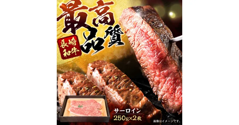 【ふるさと納税】長崎和牛サーロインステーキ 約250g×2枚 / 牛肉 和牛 国産牛 肉 ステーキ サーロイン / 諫早市 / 肉の牛長 諫早店[AHEM001]