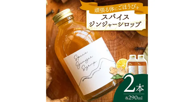 【ふるさと納税】スパイスジンジャーシロップ(290ml×2本) / ジンジャー シロップ 自家製 生姜 自然 暮らし / 諫早市 / のんびり山　[AHBA003]