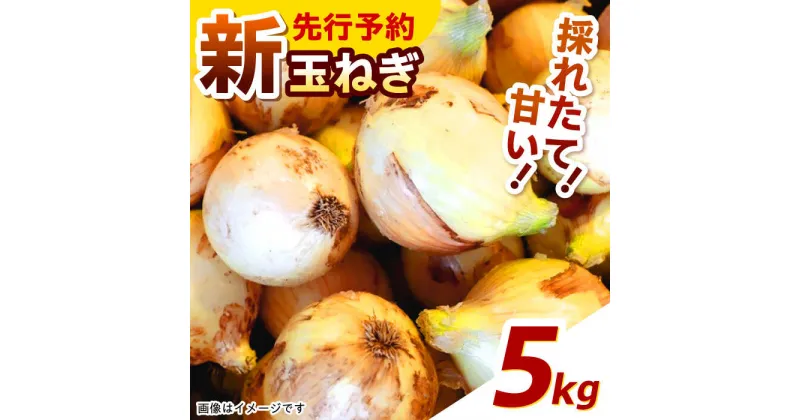 【ふるさと納税】【先行予約】季節限定『新玉ねぎ』 貴錦 5kg / 玉ねぎ たまねぎ サラダ 新玉 新鮮 野菜 / 諫早市 / ふるさと有明ファーム[AHAQ005]