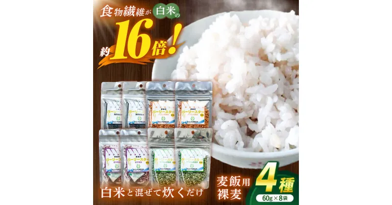 【ふるさと納税】【風味付した裸麦】 麦飯用バーリースター 60g×8個 / 麦 むぎ はだか麦 雑穀 雑穀米 麦ごはん 食物繊維 長崎県産 / 諫早市 / 有限会社伊東精麦[AHBU004]