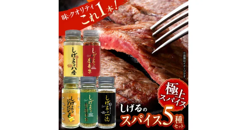 【ふるさと納税】しげるのスパイス5本セット　/　スパイス　ジンジャー　肉　肉専門　オニオン　/　諫早市　/　株式会社飯盛グリーン開発[AHCY017]