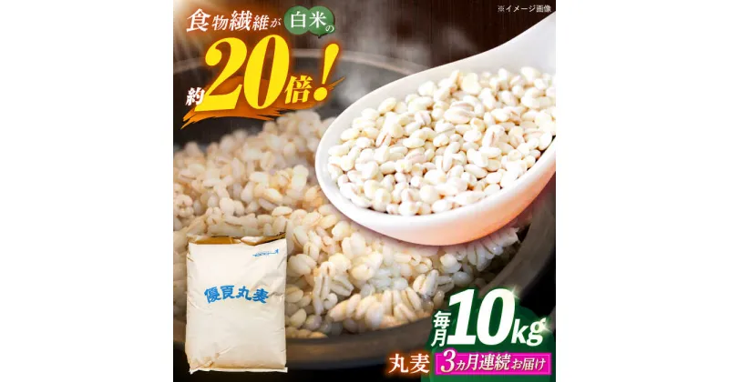 【ふるさと納税】【全3回定期便】 長崎県産 丸麦 10kg / 麦 むぎ 雑穀 雑穀米 麦ごはん 麦飯 麦みそ 食物繊維 / 諫早市 / 有限会社伊東精麦[AHBU006]