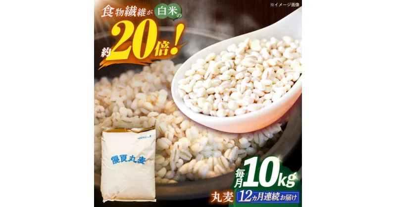 【ふるさと納税】【全12回定期便】 長崎県産 丸麦 10kg / 麦 むぎ 雑穀 雑穀米 麦ごはん 麦飯 麦みそ 食物繊維 / 諫早市 / 有限会社伊東精麦[AHBU008]