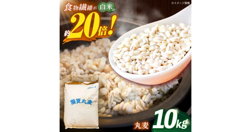 【ふるさと納税】長崎県産 丸麦 10kg / 麦 むぎ 雑穀 雑穀米 麦ごはん 麦飯 麦みそ 食物繊維 / 諫早市 / 有限会社伊東精麦[AHBU005]