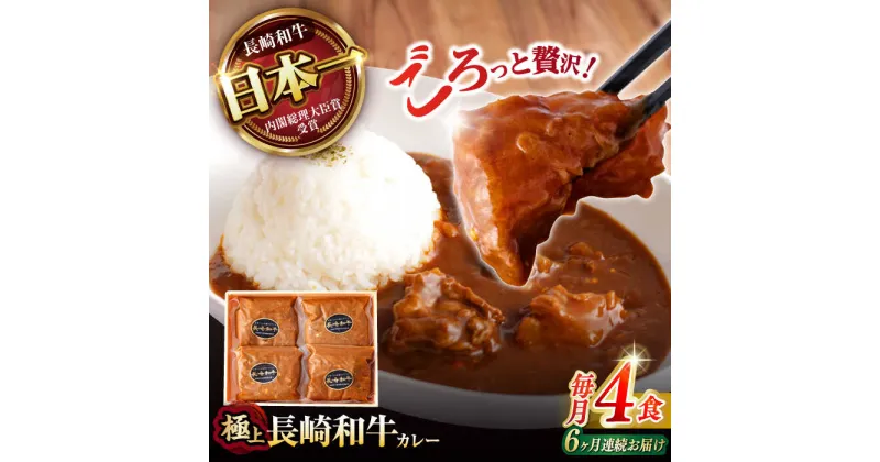 【ふるさと納税】【6回定期便】 【肉のプロが贈る 究極のカレー】長崎和牛 カレー 約275g×4袋 / カレーライス かれー レトルト 牛 和牛 / 諫早市 / 野中精肉店[AHCW099]