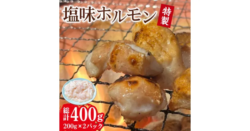 【ふるさと納税】特製塩味ホルモン (200g × 2パック) 総計約400g / ホルモン 塩ホルモン 胃袋 焼肉 / 大村市 / 塩ホルモンろくめい[ACAO002]