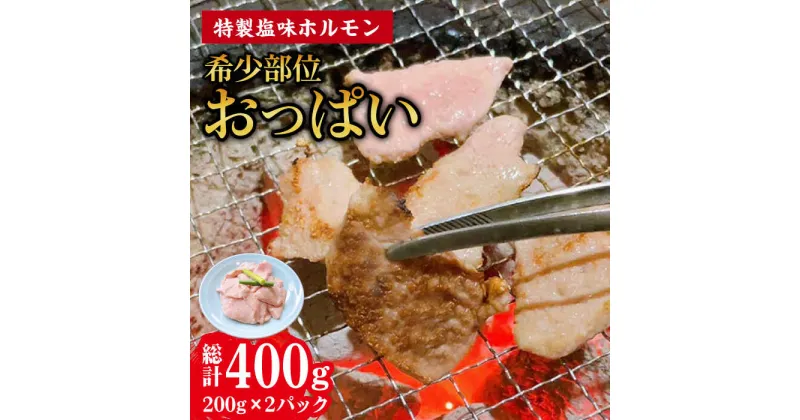 【ふるさと納税】【希少部位おっぱい】特製塩味ホルモン (200g × 2パック) 総計約400g / ホルモン 塩ホルモン 胃袋 焼肉 / 大村市 / 塩ホルモンろくめい[ACAO003]