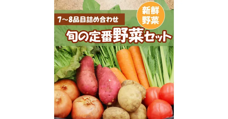 【ふるさと納税】旬の定番野菜セット 使いやすい野菜を厳選 7～8品目 詰め合わせ / 季節 旬 春野菜 夏野菜 秋野菜 / 大村市 / 古瀬青果[ACBD002]