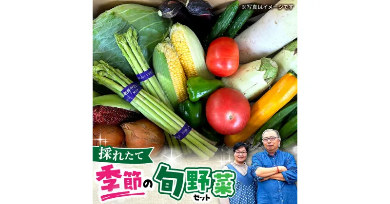 【ふるさと納税】農家自慢 季節の野菜セット / 詰め合わせ 野菜 やさい 野菜セット 野菜詰め合わせ 旬 春野菜 夏野菜 秋野菜 / 大村市 / 産直松吉[ACZC001]