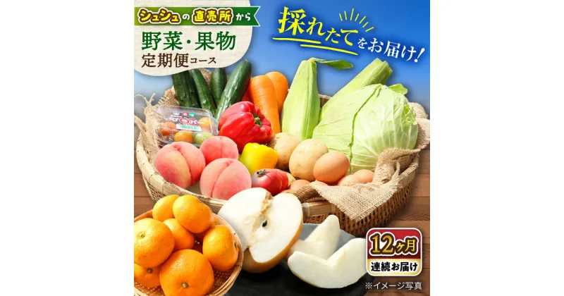 【ふるさと納税】【12回定期便】野菜果物定期便コース / 野菜 フルーツ 果物 定期便 旬 / 大村市 / おおむら夢ファームシュシュ[ACAA092]